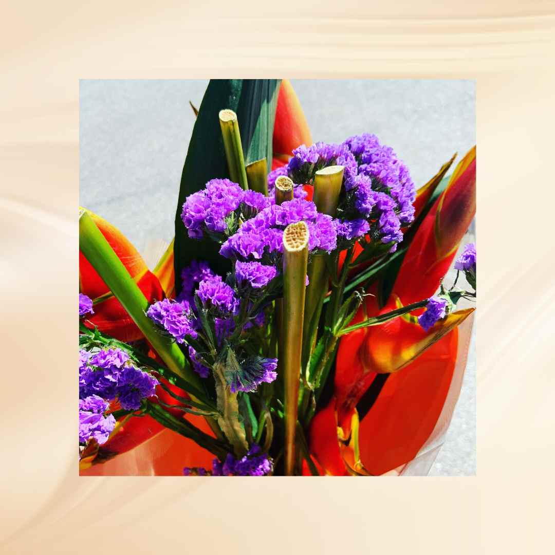 Bloemen op Aruba Bloemen